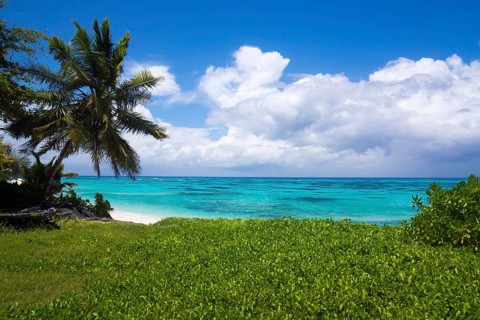 Coast