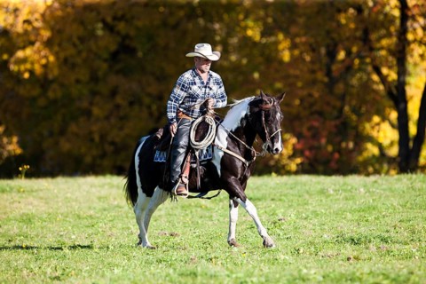 Cowboy galloping with a black tobiano American Paint Horse