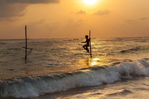 Stilt fisherman fishing in shallow water