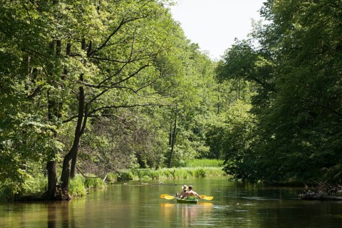 Paddlers on the Krutynia River