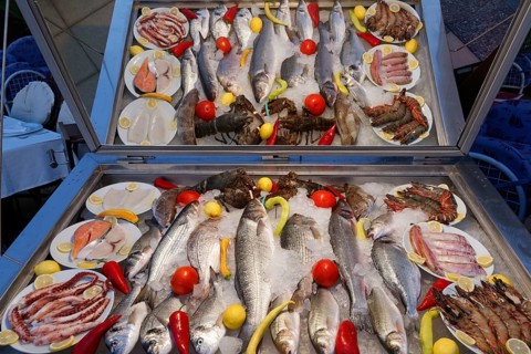 Fish on display at a restaurant