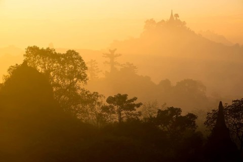 Pagoda surrounded by trees