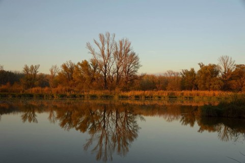 Landscape in the evening light