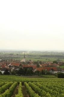 The village of Maikammer