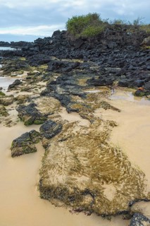 Sandy beach
