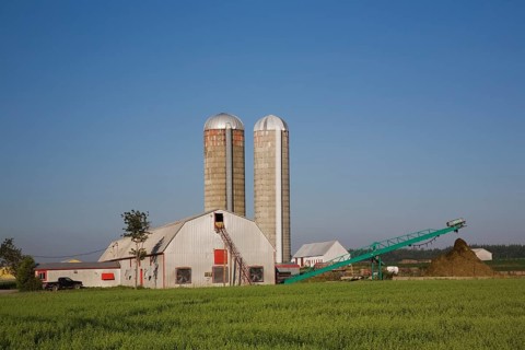 Dairy farm building with two grain silos