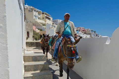 Muleteers