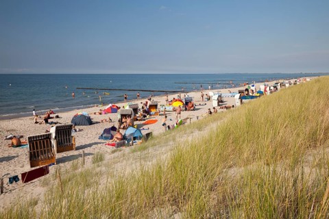 Sandy beach and coast
