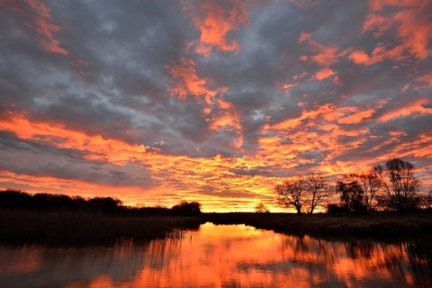 Sunrise over the Leiner See lake in the Middle Elbe Biosphere Reserve