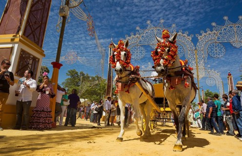 Decorated horses at the Feria del Caballo Horse Fair