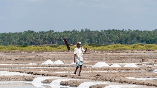 Saline worker