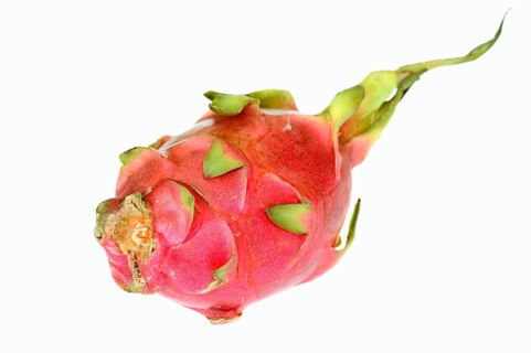 Pitahaya or Dragonfruit (Hylocereus undatus)