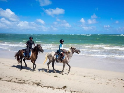 People riding horses on the beach
