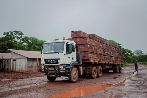 Tropical timber on a truck