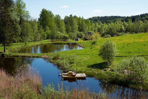 Landscape with ponds