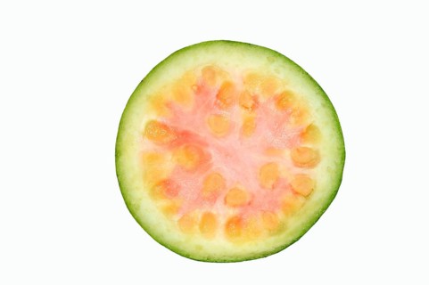 Apple Guava or Common Guava (Psidium guajava)