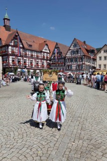 Historical parade