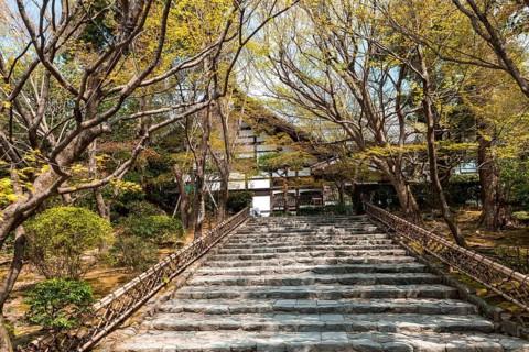 Stairs to Ryoanji Temple Kori