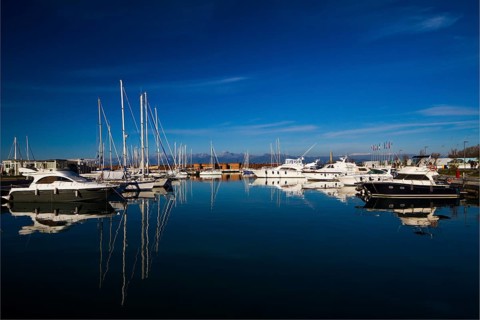 Port of Marina di Pisa