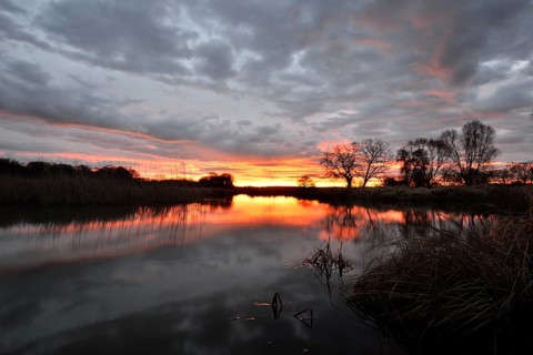 Sunrise over the Leiner See lake in the Middle Elbe Biosphere Reserve