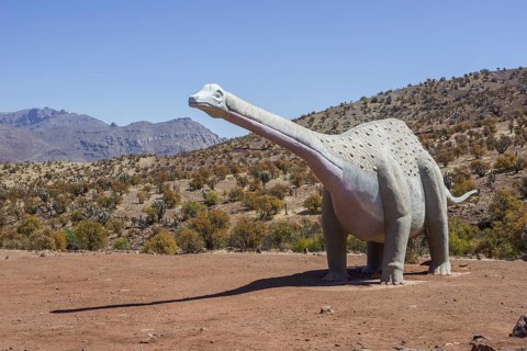 Model of a dinosaur (Antarctosaurus wichmannianus)