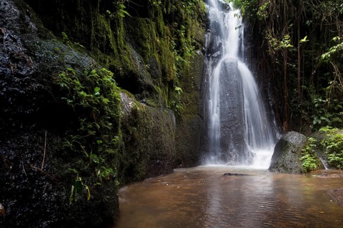 Waterfall in the rainforest