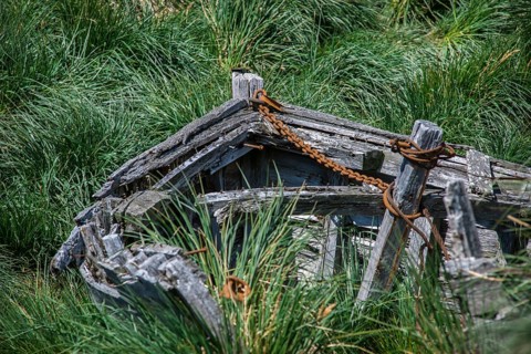 A decaying wooden boat of the whalers