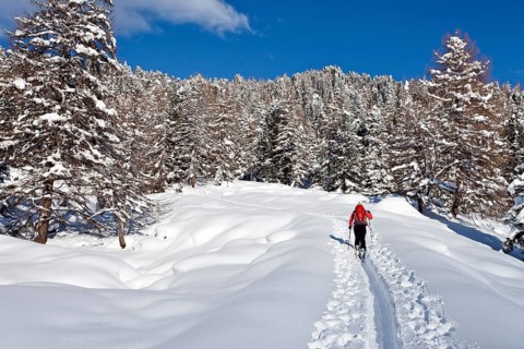 Ski tourer during the ascent of Mt Juribrutto