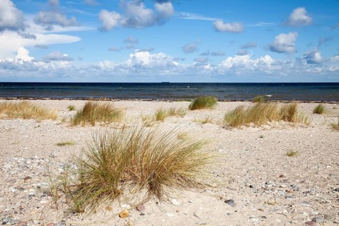 Naturschutzgebiet Gruner Brink nature reserve