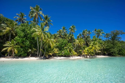 Lagoon with a sandy beach and palm trees