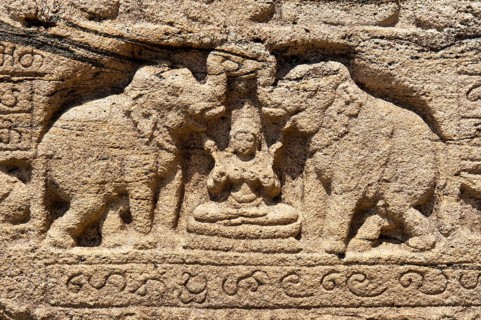 Elephant relief