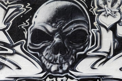 Skull