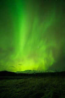 Aurora borealis over College Fjord
