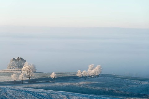 Country road with frost at Witthoh ridge