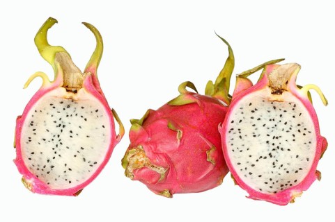 Pitahaya or Dragonfruit (Hylocereus undatus)