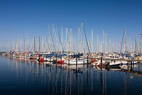 Sailboats in the marina