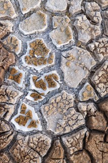 Cracked earth