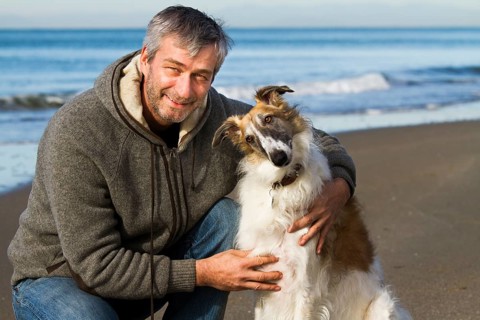 Borzoi or Russian Wolfhound