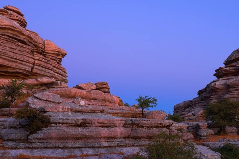 Limestone rocks