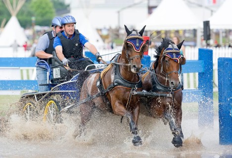 Horse-drawn carriage passing through a water ditch