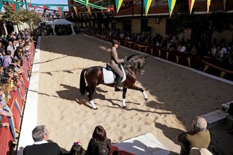 Female rider on Andalusian horse performs at the annual All Saints Market in Cocentaina