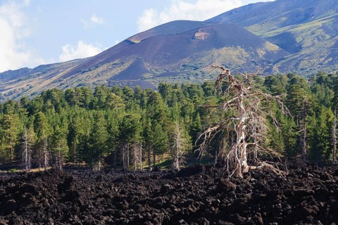 Lava field on the foothills of Mount Etna