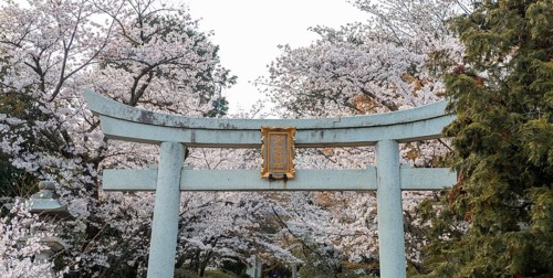 Shinto shrine