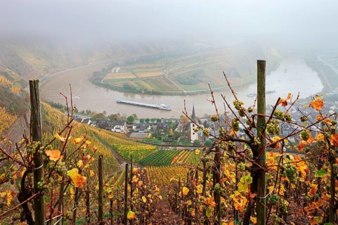 Moselle River loop in autumn