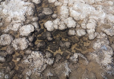 Salt deposits in a shallow pool