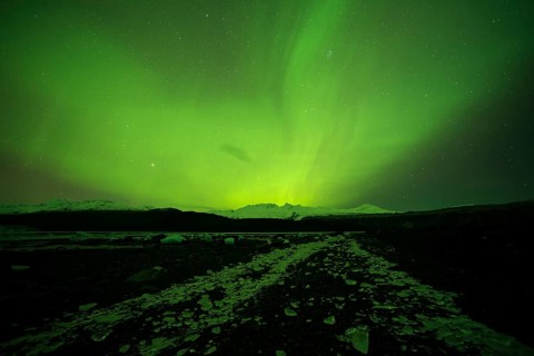 Aurora borealis over College Fjord