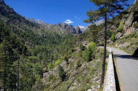 Narrow street in Restonica Valley