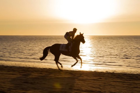 Rider riding towards the starting gate