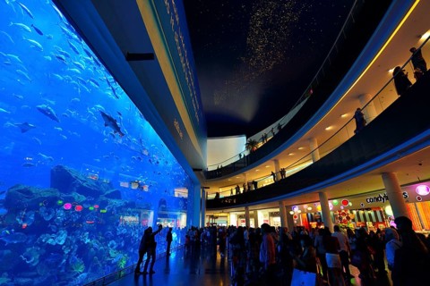 Aquarium in the Dubai Mall shopping centre