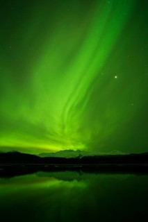 Aurora borealis over College Fjord